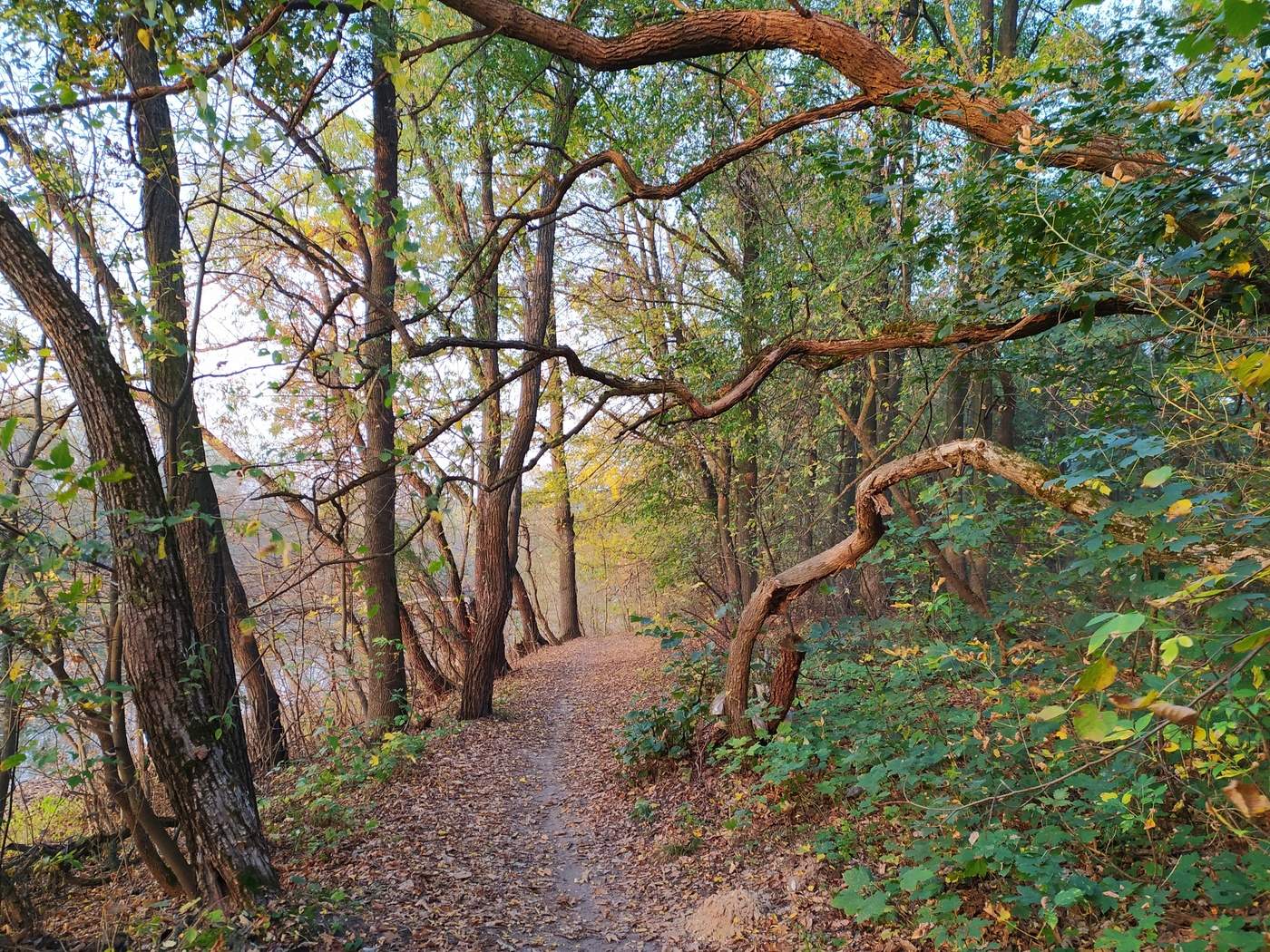 Dort auf unbekannte Wege ...