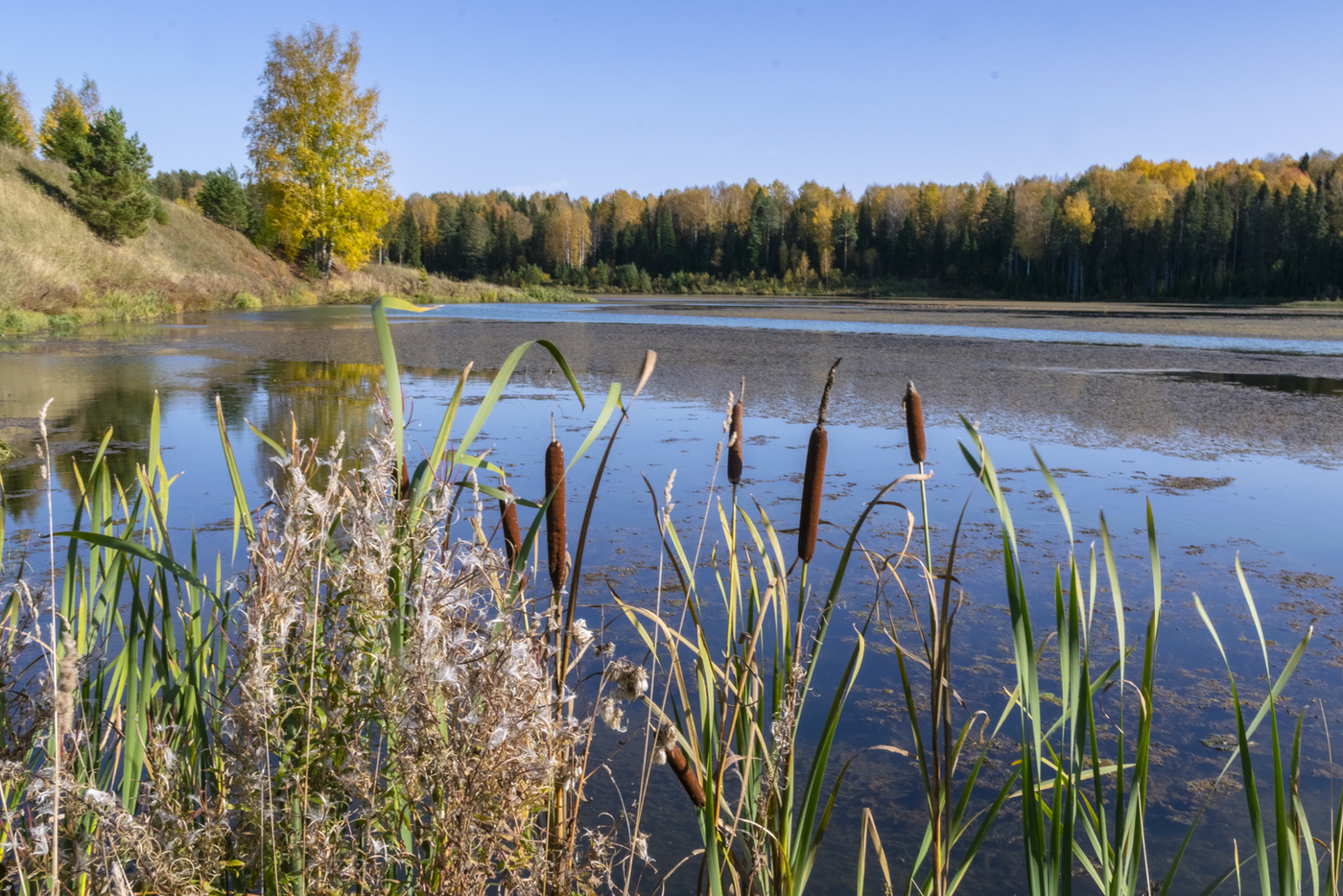 Herbst auf dem See