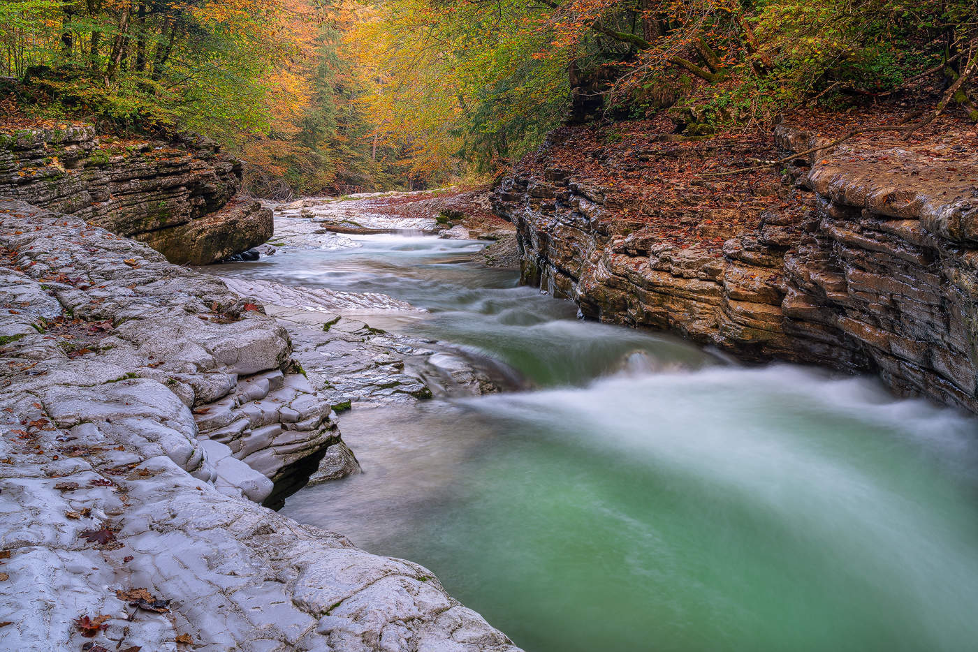 Herbstfarben in der Taugl