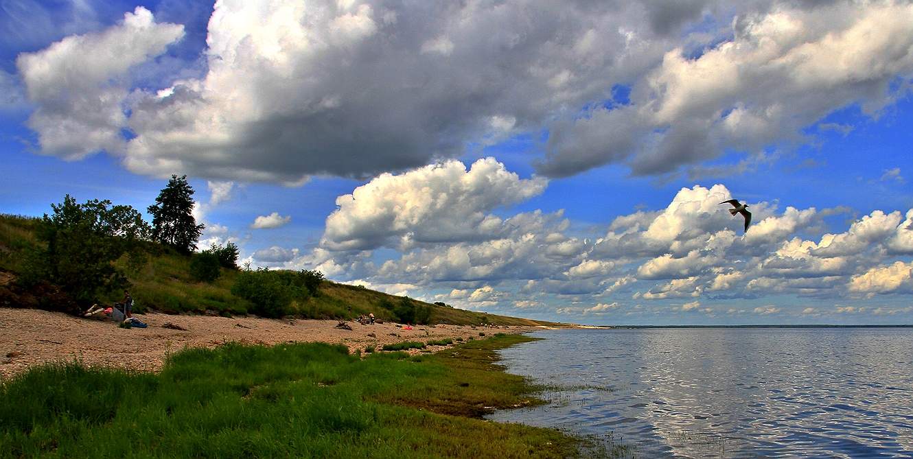 Memories of Summer ...