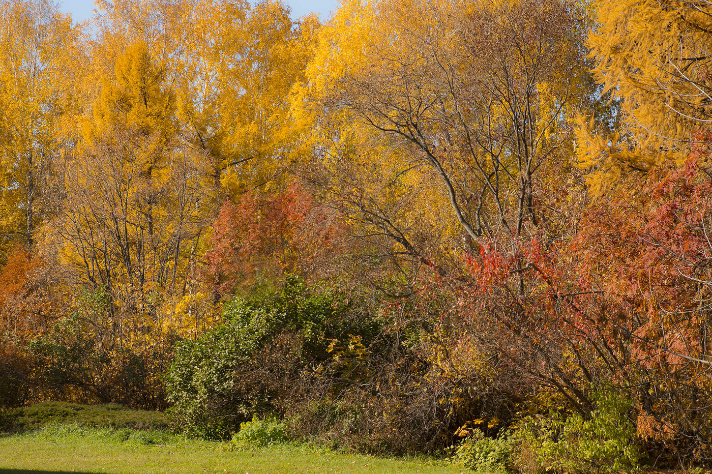 Die Palette des Herbstes