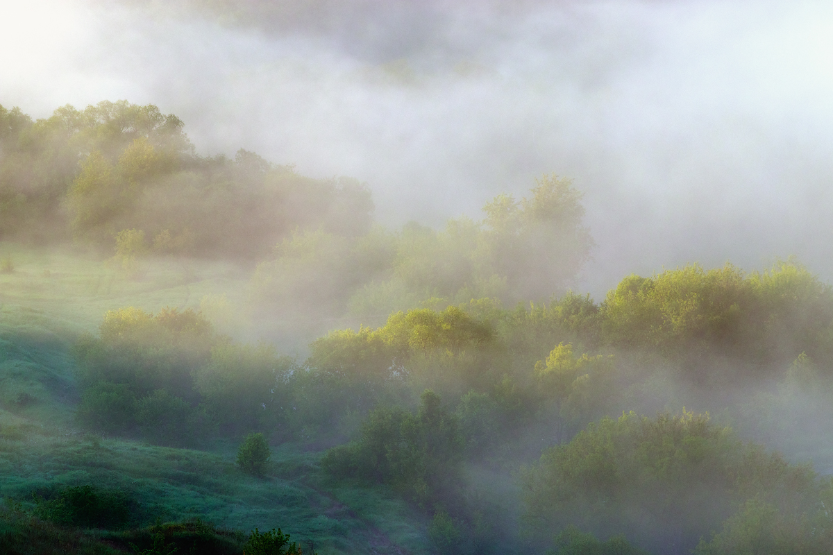 Dort, hinter dem Nebel ...