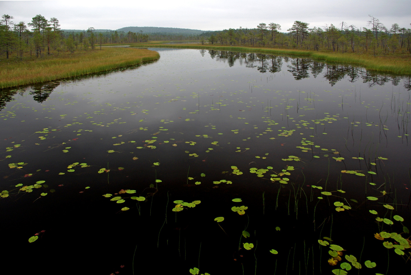 Stille Wasser sind tief