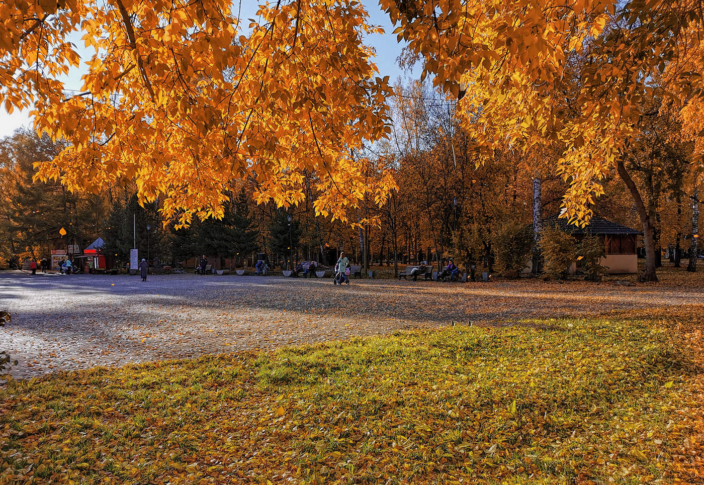 allen Farben des Herbstes