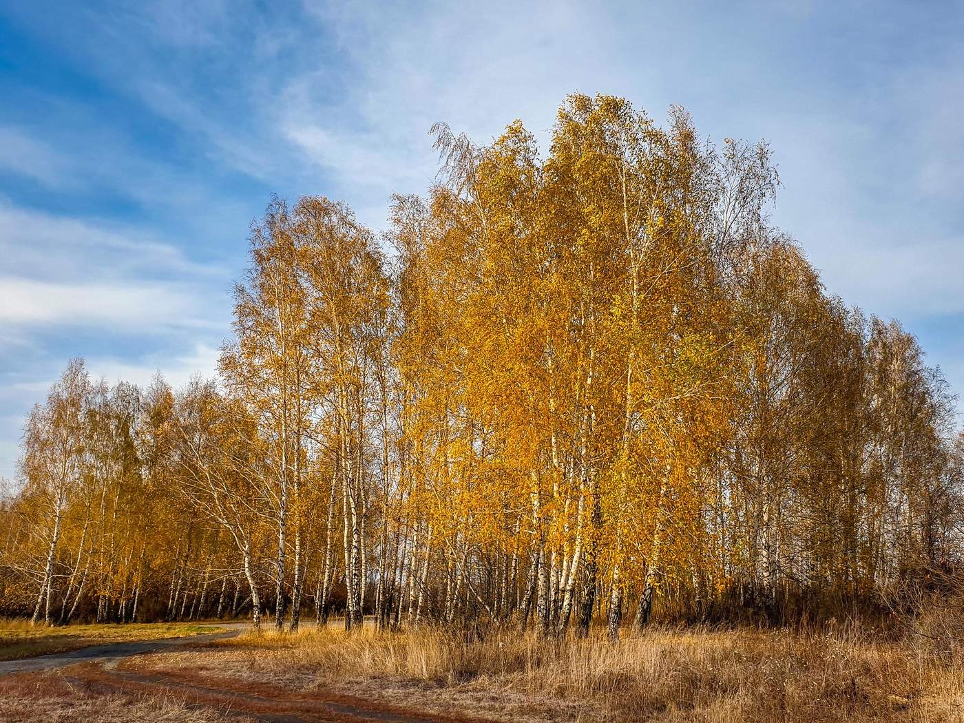allen Farben des Herbstes