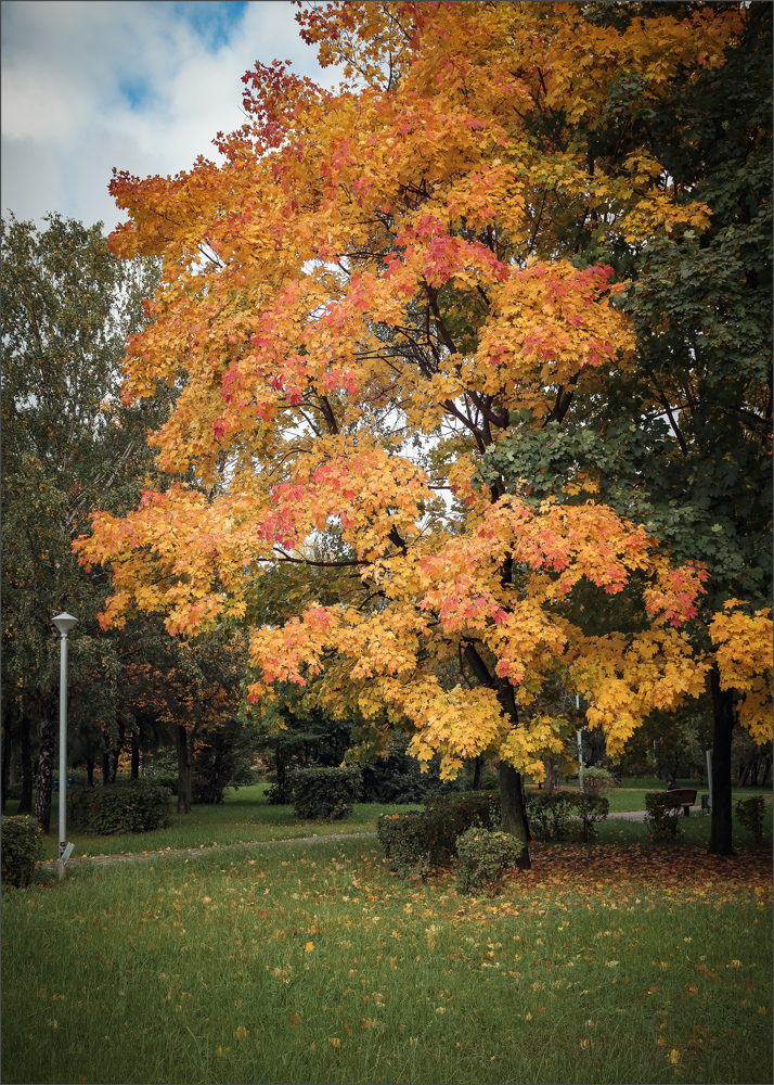 allen Farben des Herbstes