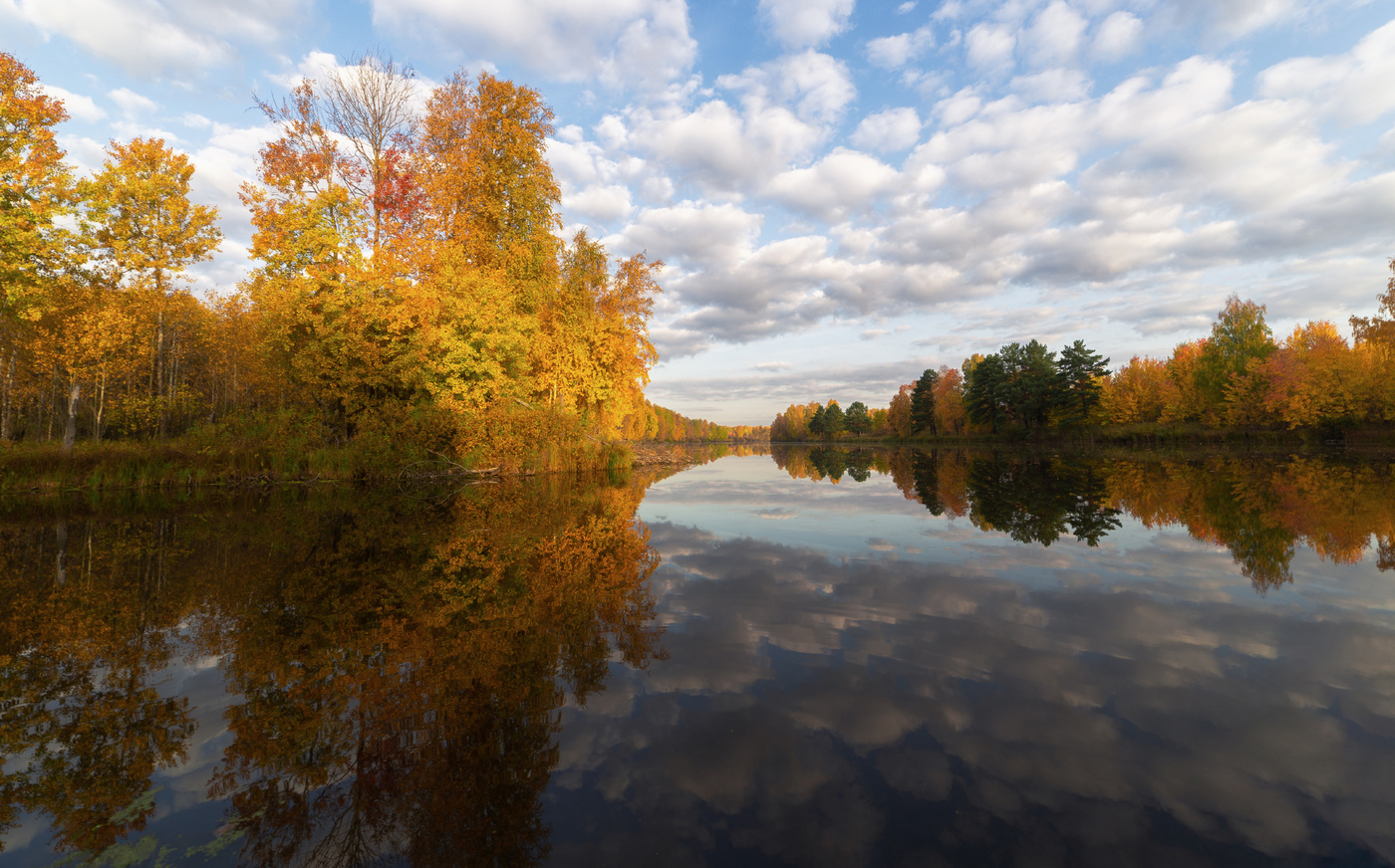 allen Farben des Herbstes