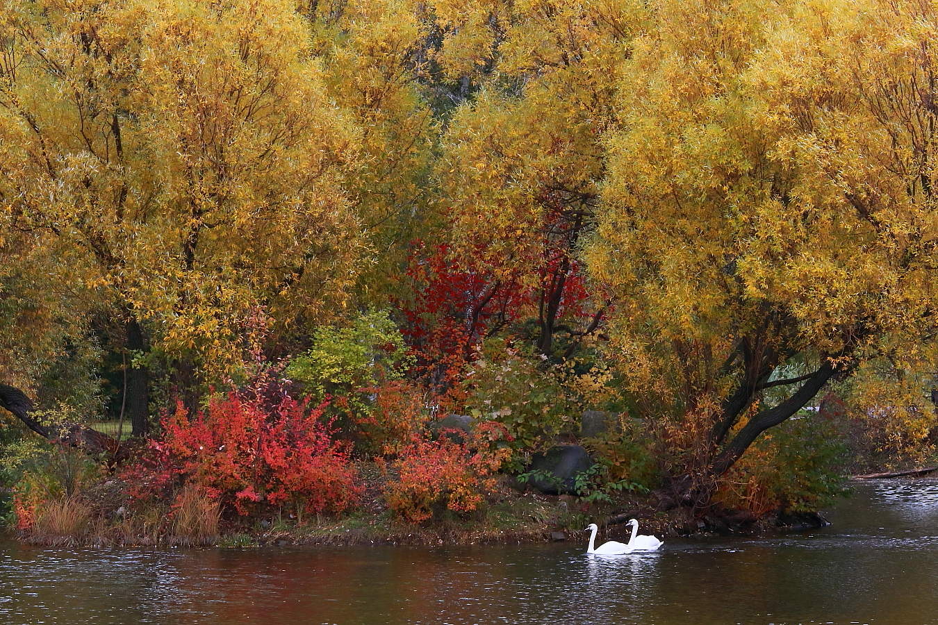 allen Farben des Herbstes