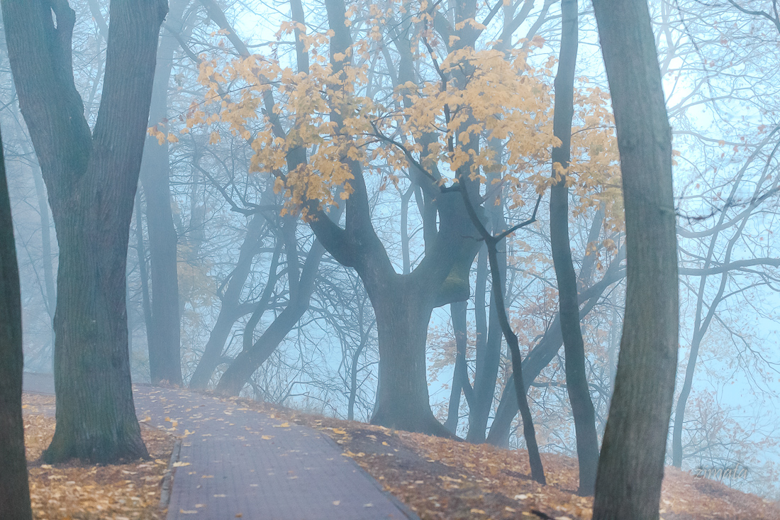 allen Farben des Herbstes