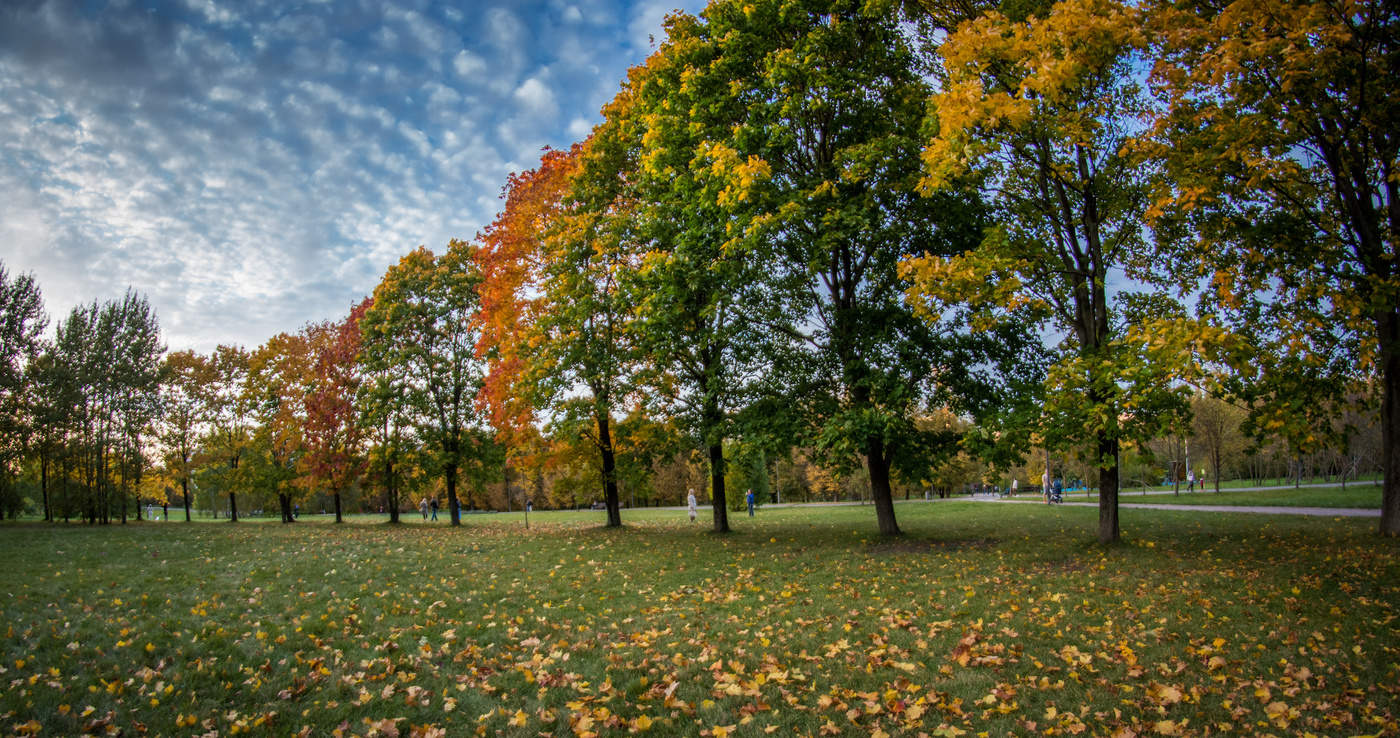 allen Farben des Herbstes
