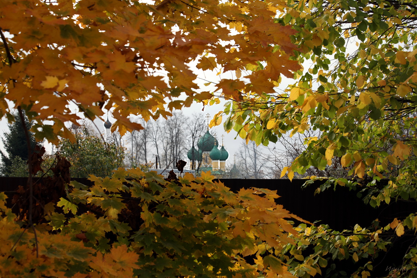 allen Farben des Herbstes