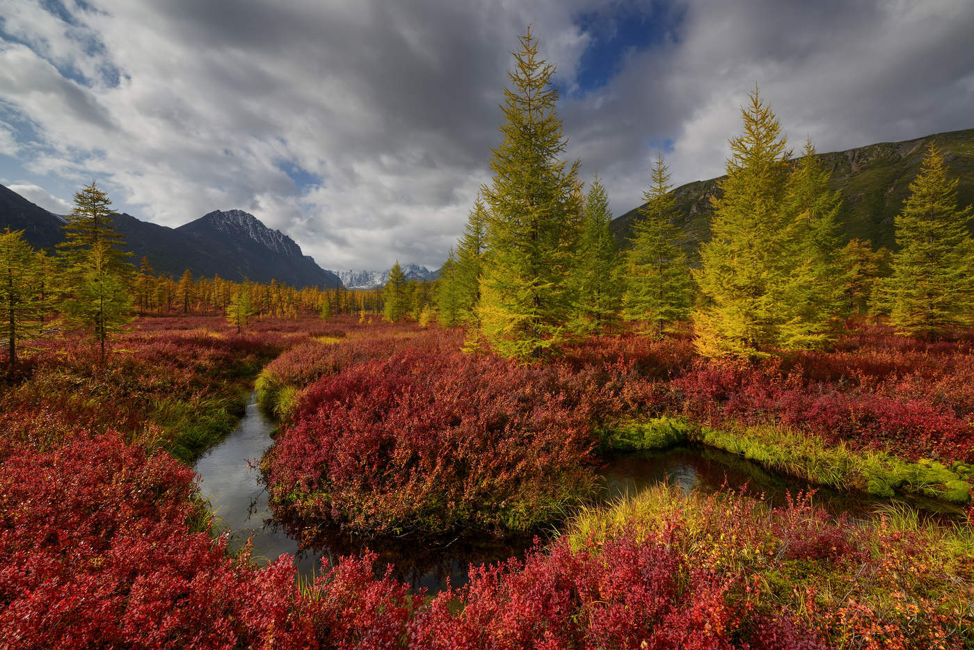 allen Farben des Herbstes