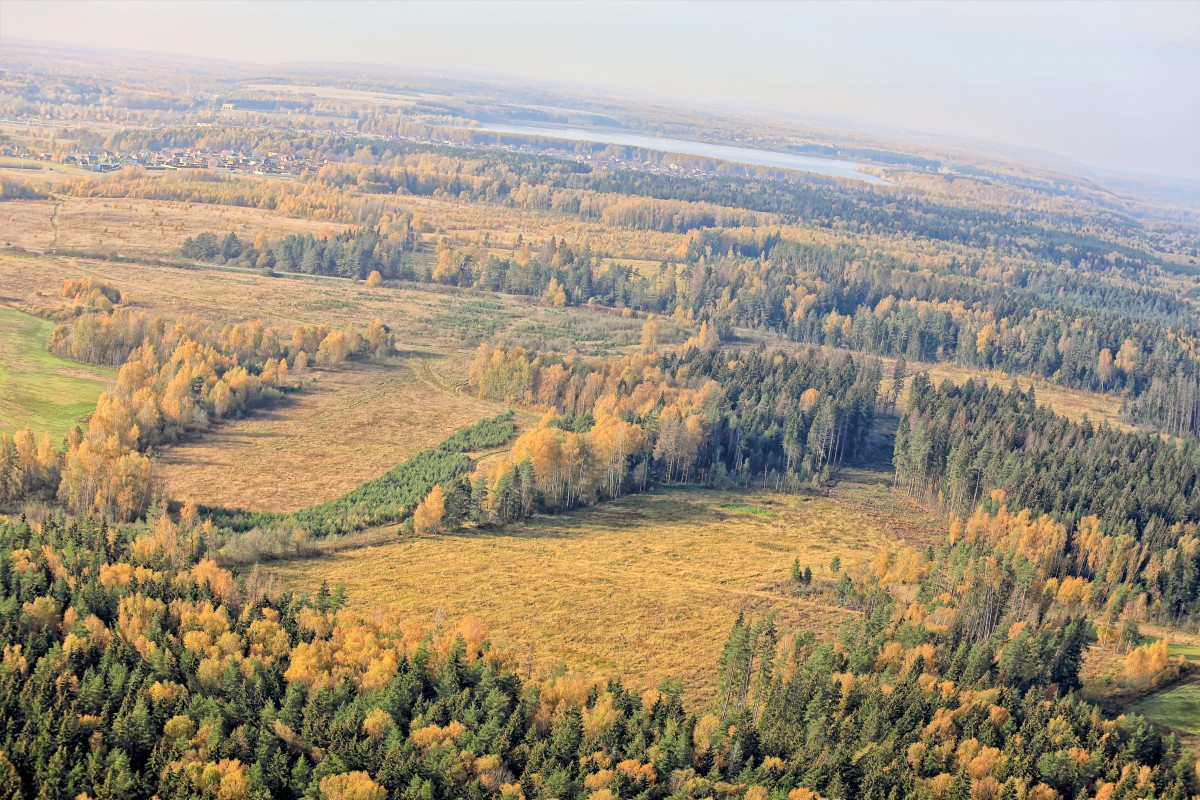 allen Farben des Herbstes