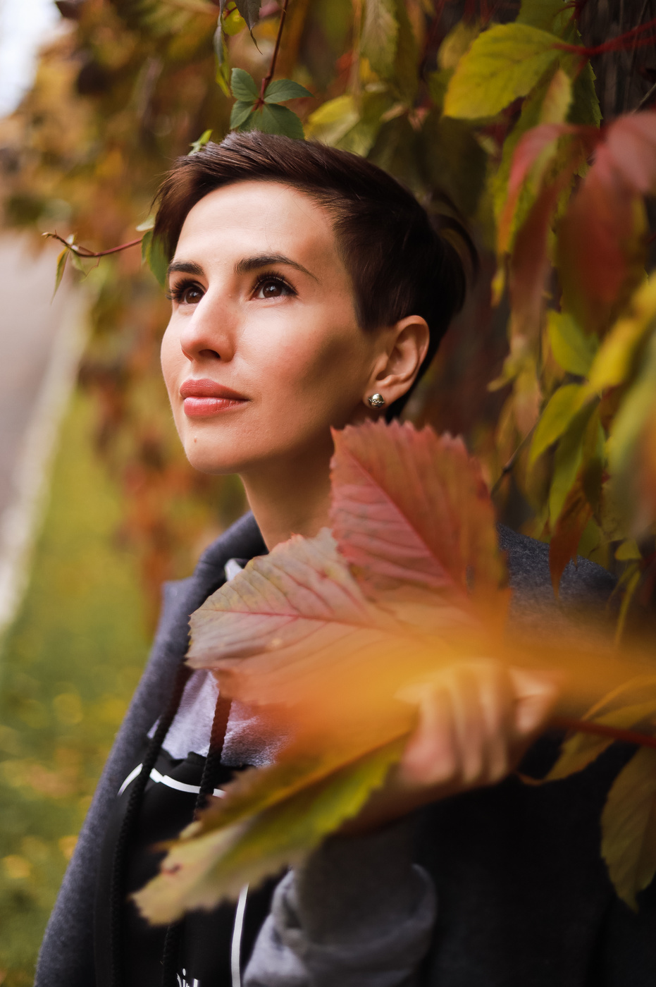 allen Farben des Herbstes