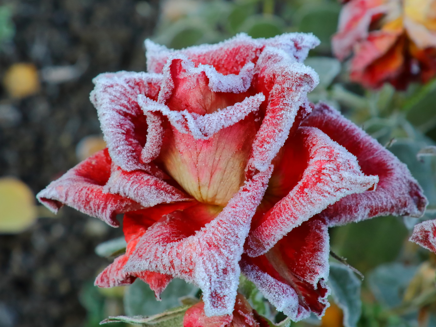 allen Farben des Herbstes