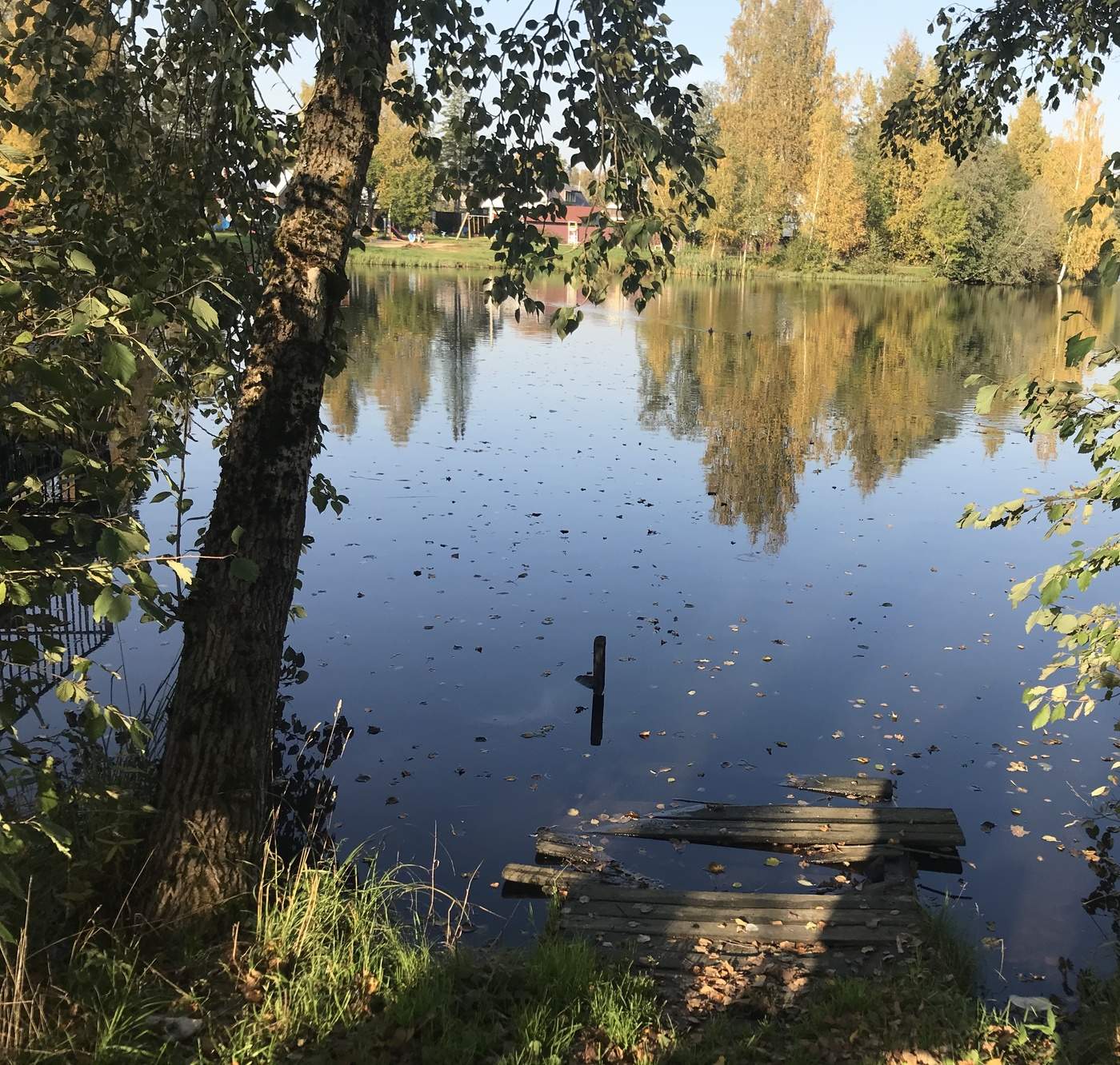 allen Farben des Herbstes