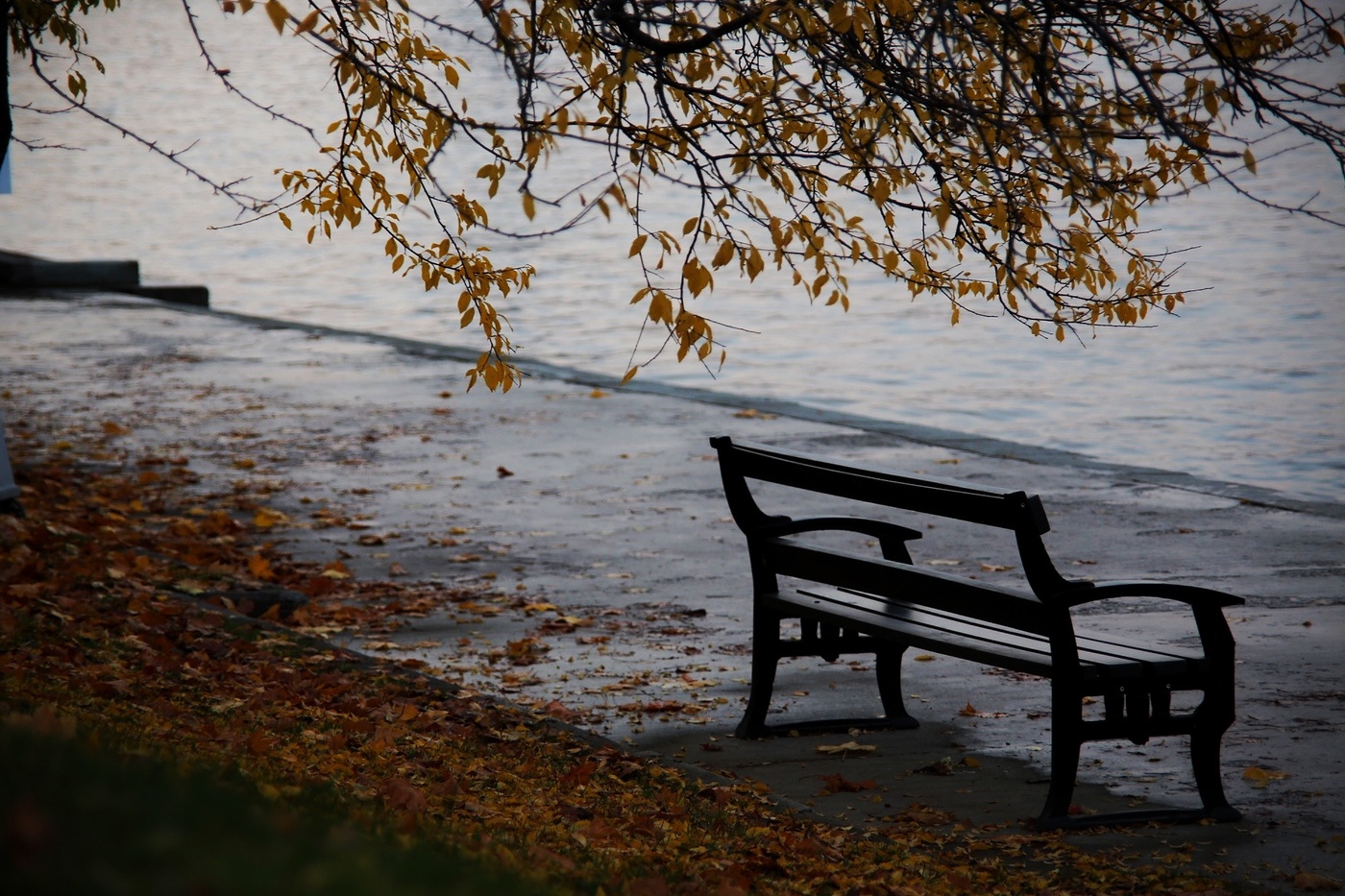 allen Farben des Herbstes
