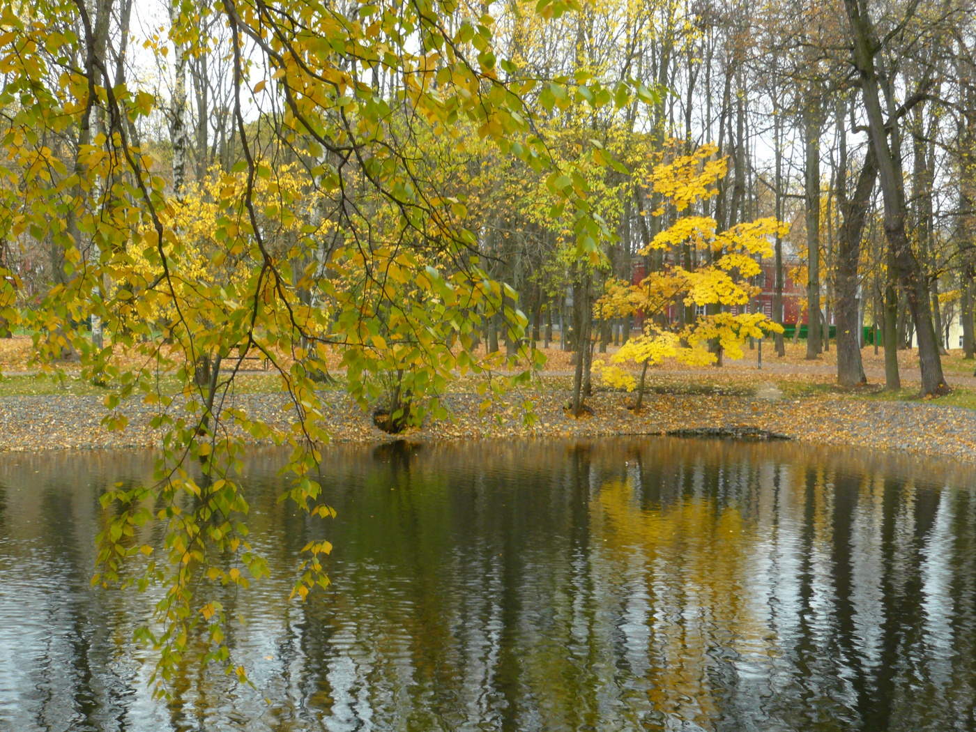 allen Farben des Herbstes