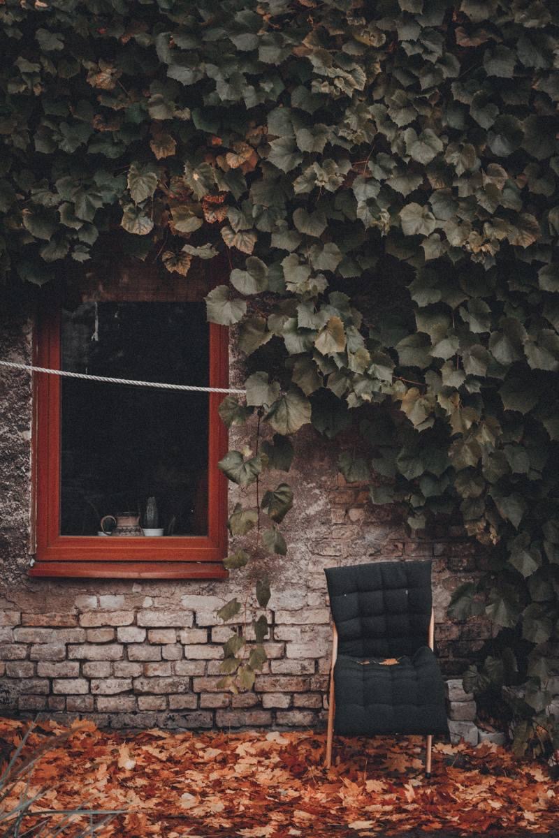 allen Farben des Herbstes