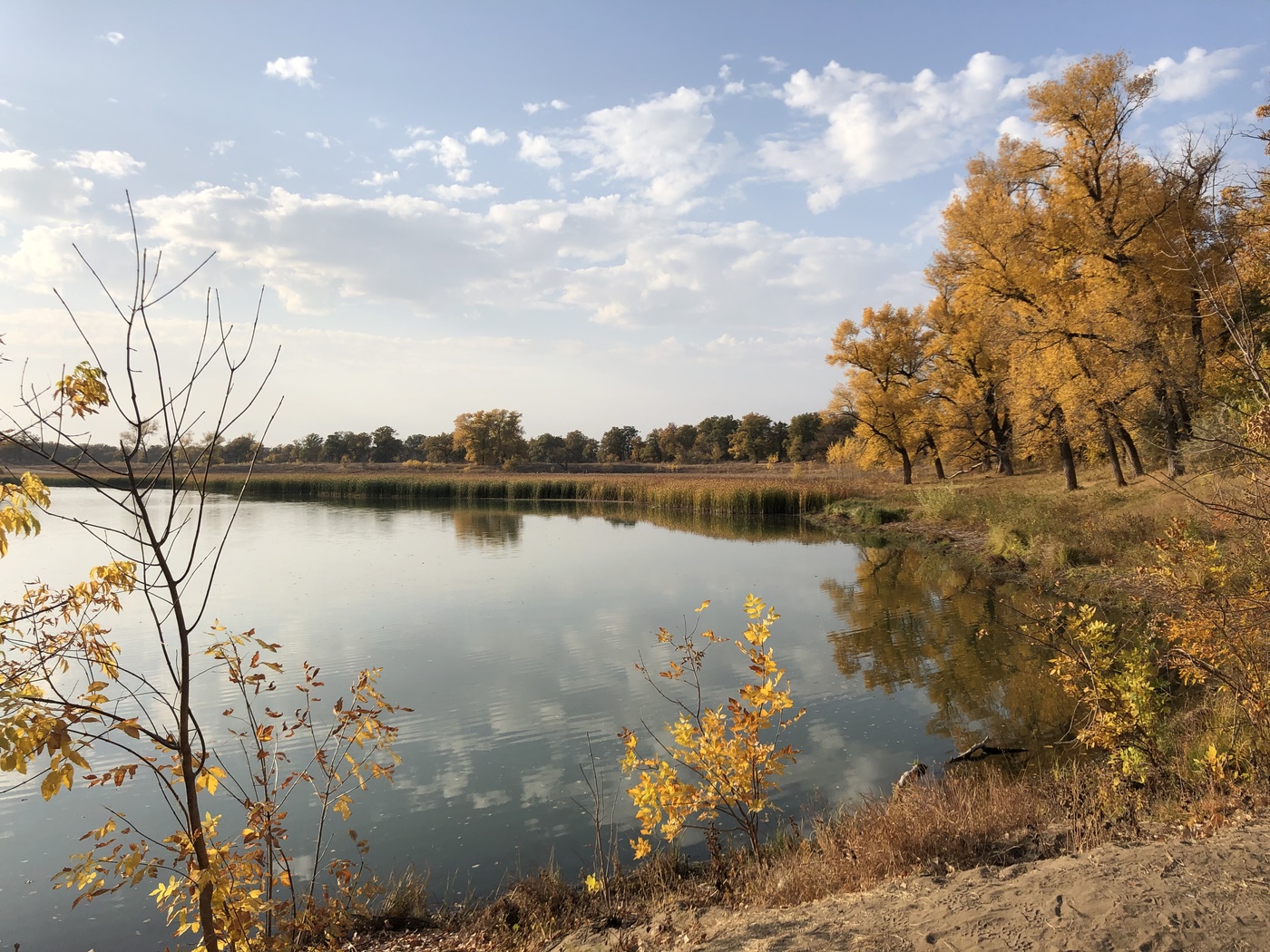 allen Farben des Herbstes