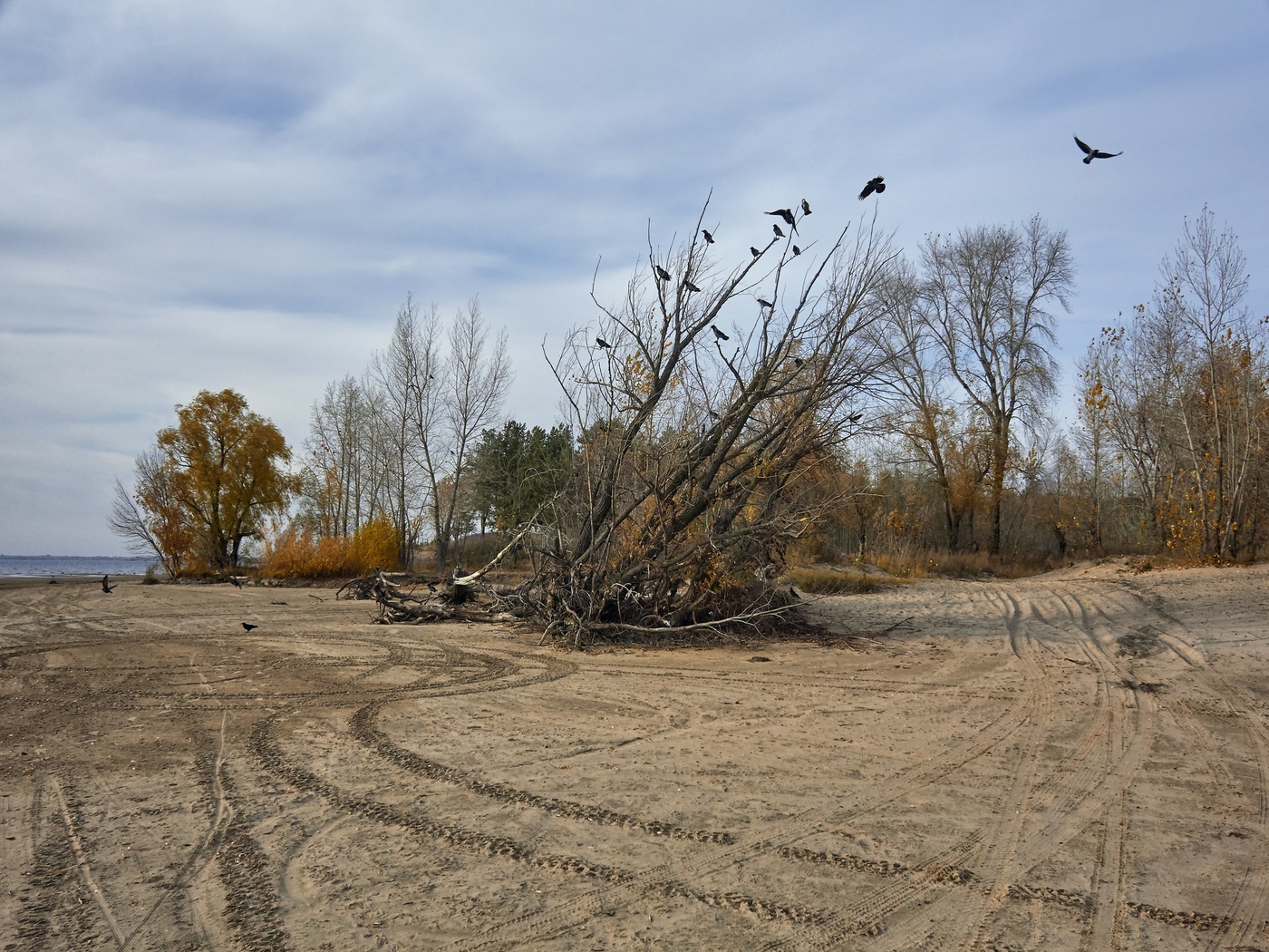 allen Farben des Herbstes