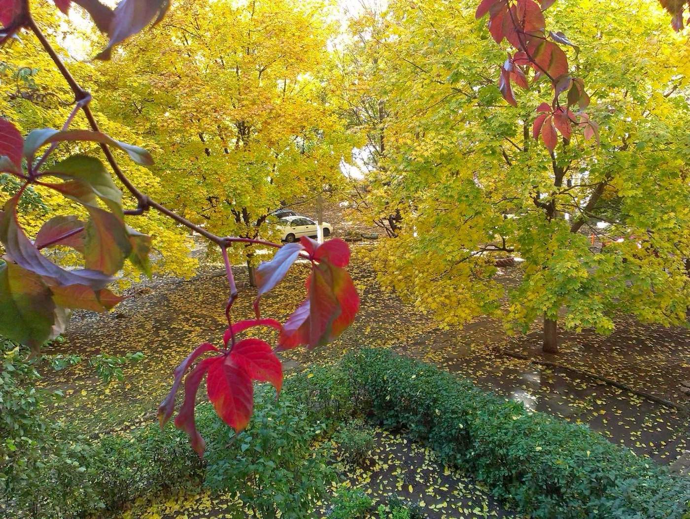 allen Farben des Herbstes