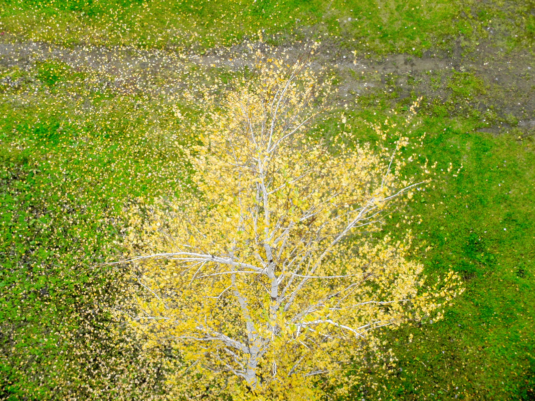 allen Farben des Herbstes