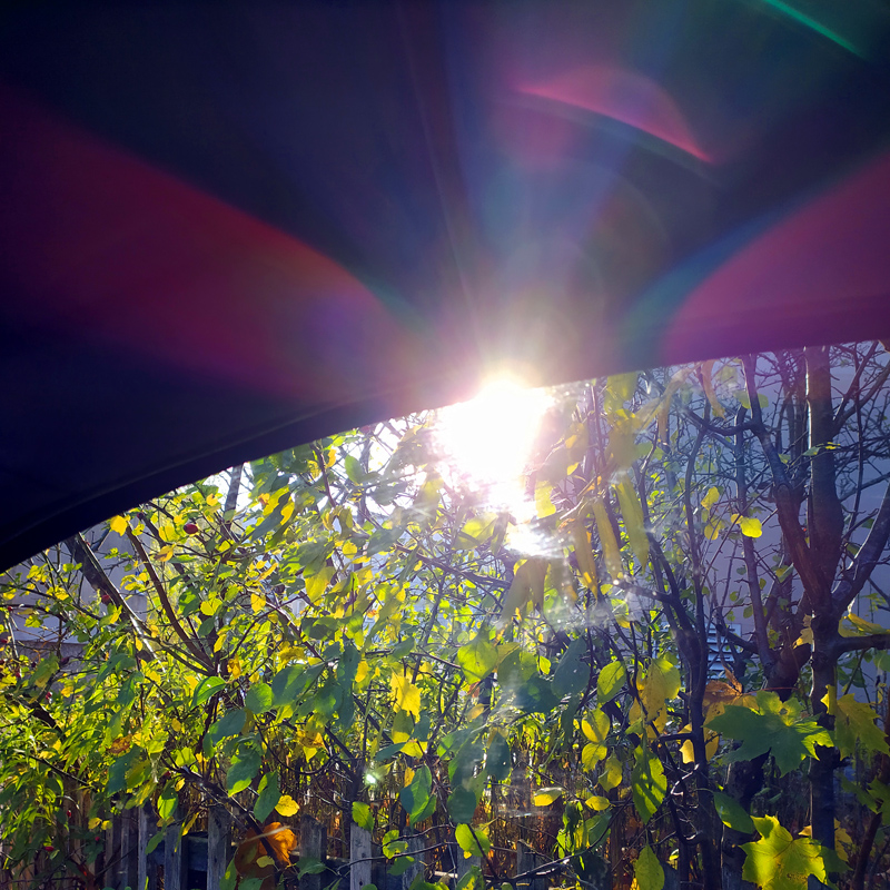 allen Farben des Herbstes