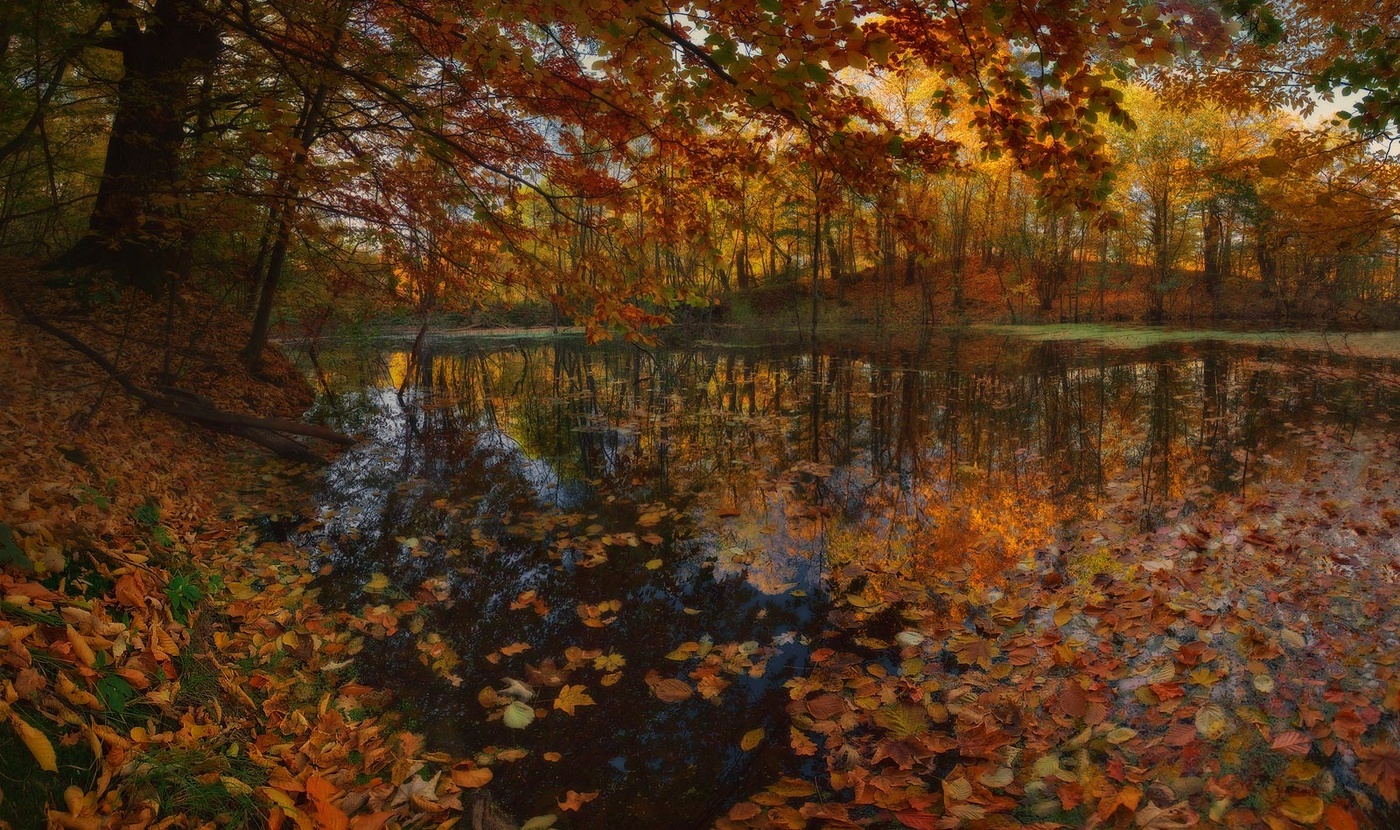 allen Farben des Herbstes