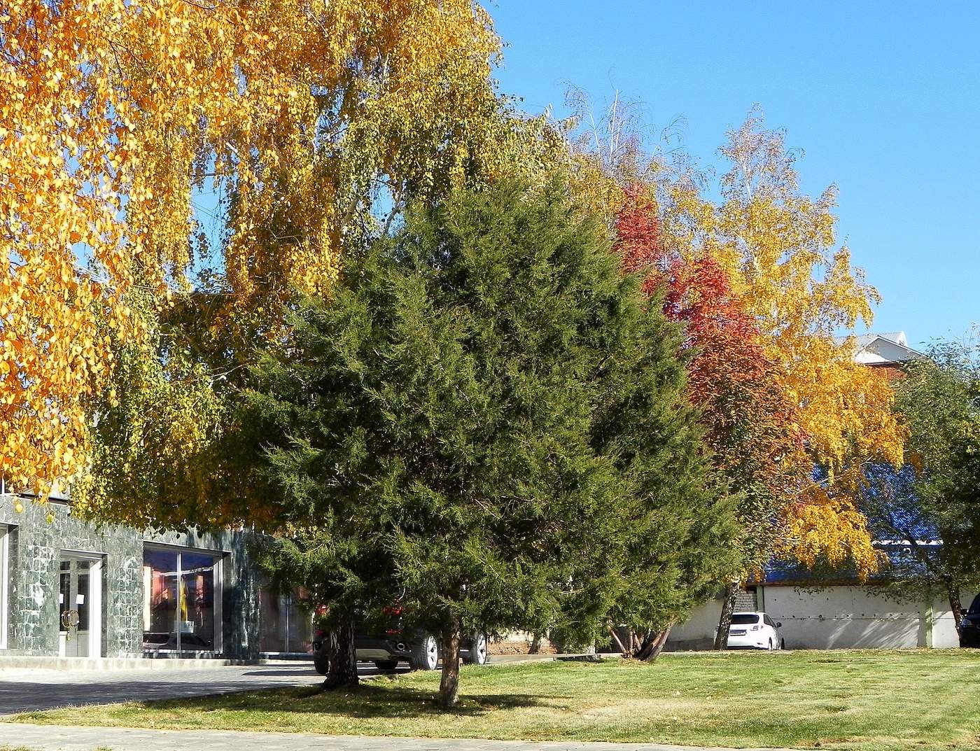 allen Farben des Herbstes