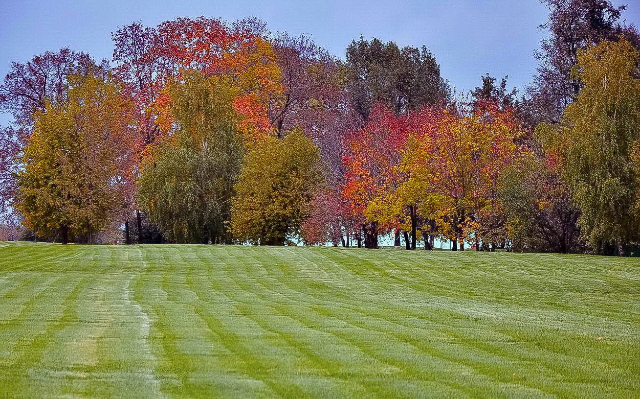 allen Farben des Herbstes