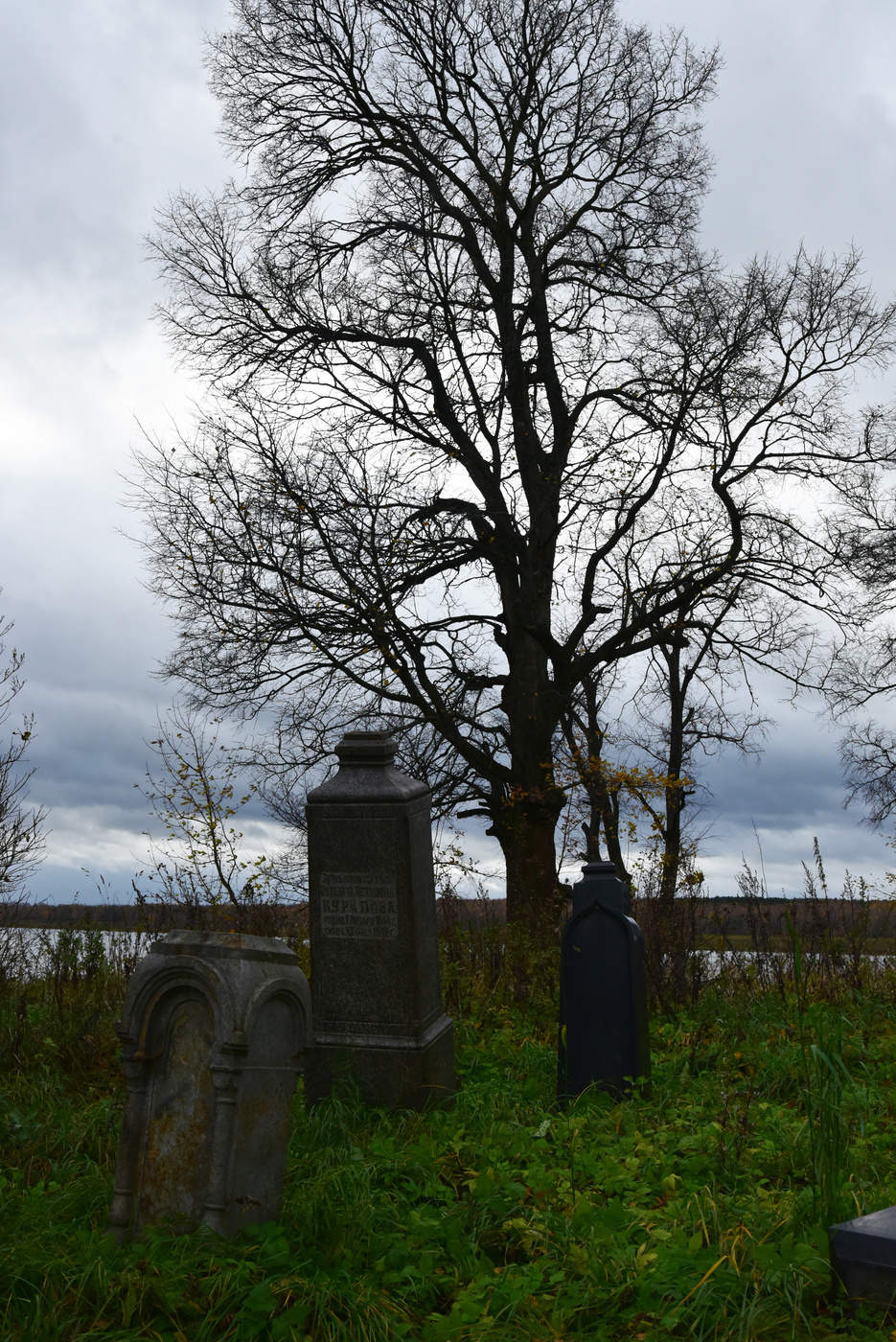 allen Farben des Herbstes