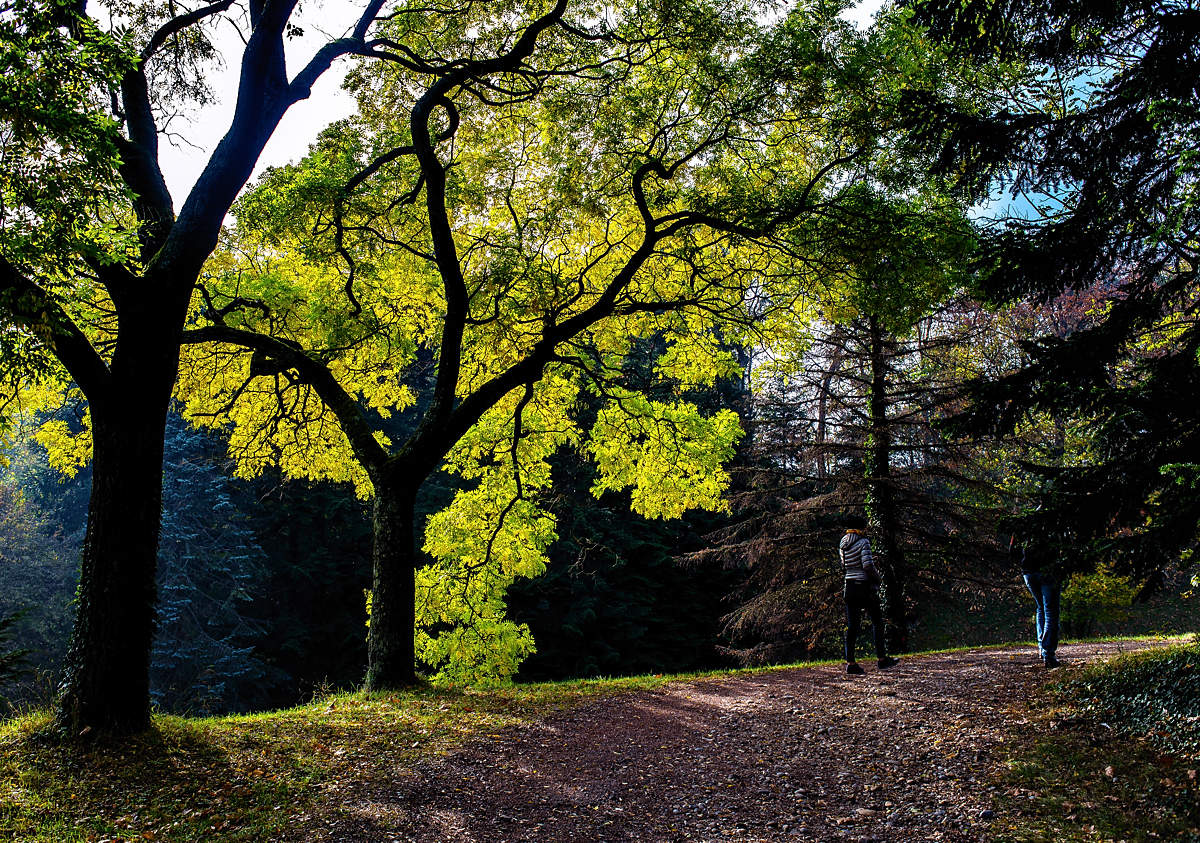 allen Farben des Herbstes