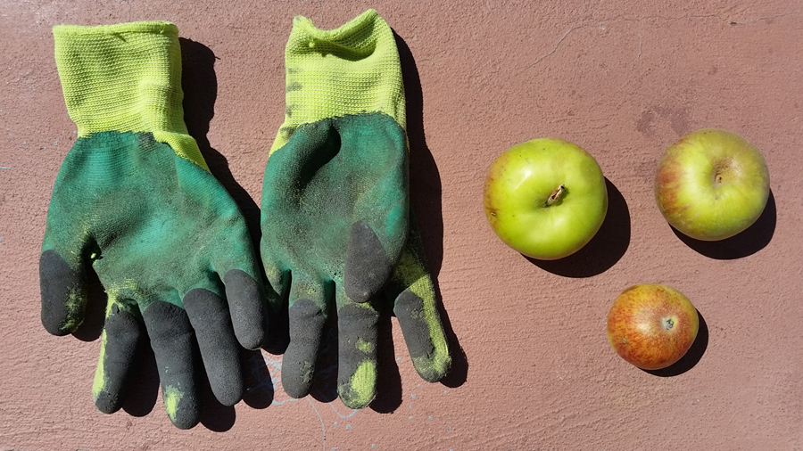 allen Farben des Herbstes