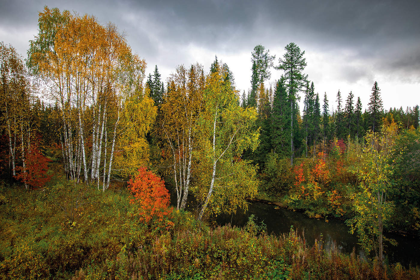 allen Farben des Herbstes