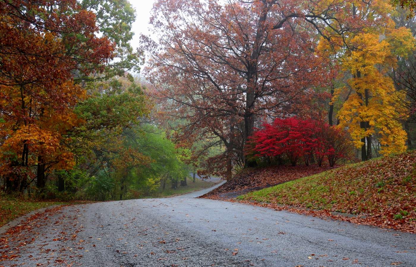 allen Farben des Herbstes