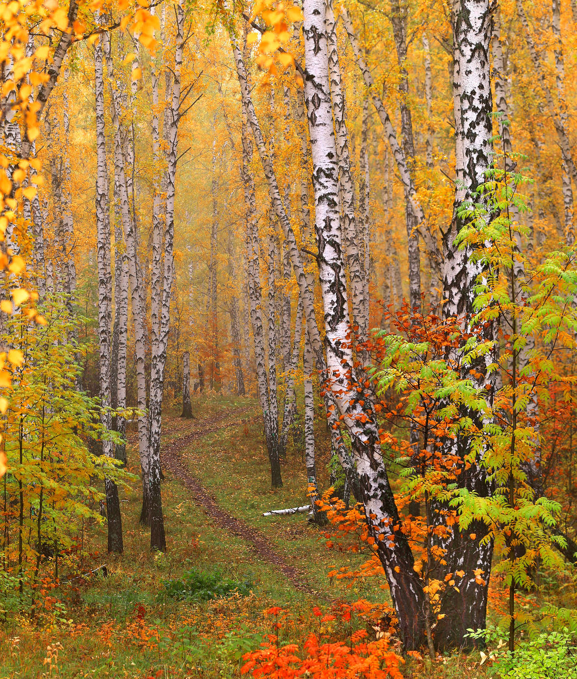 allen Farben des Herbstes