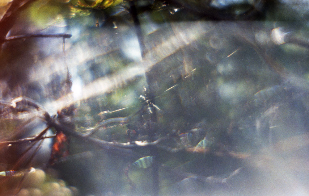 allen Farben des Herbstes