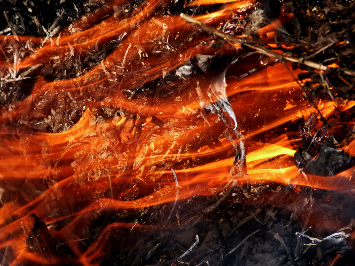 allen Farben des Herbstes