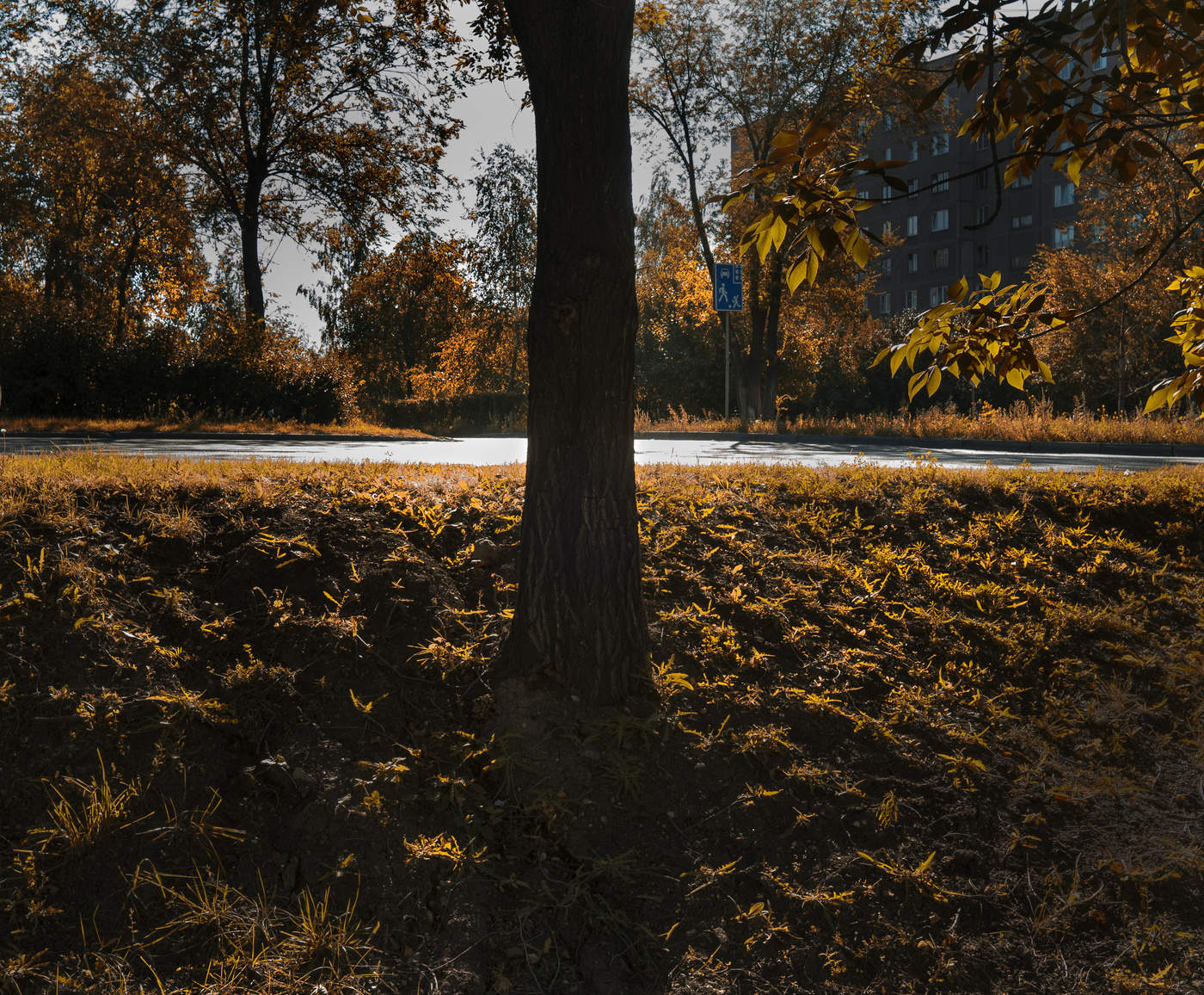 allen Farben des Herbstes