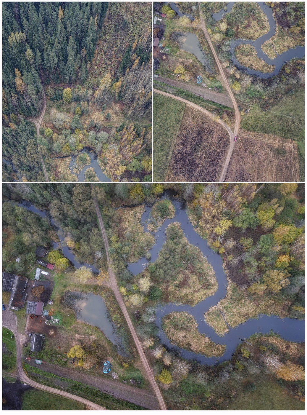 allen Farben des Herbstes