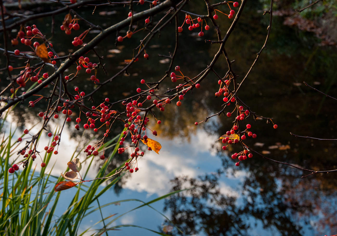 allen Farben des Herbstes