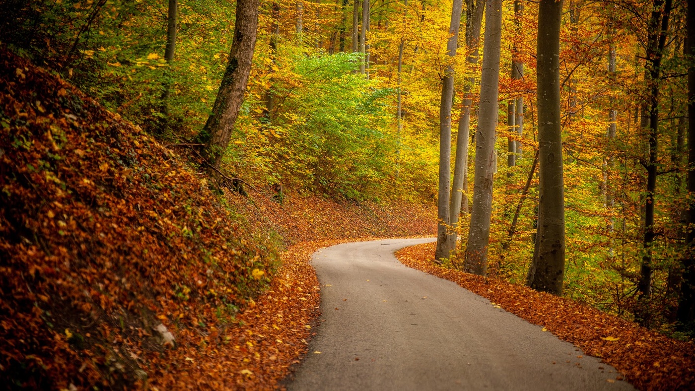 allen Farben des Herbstes