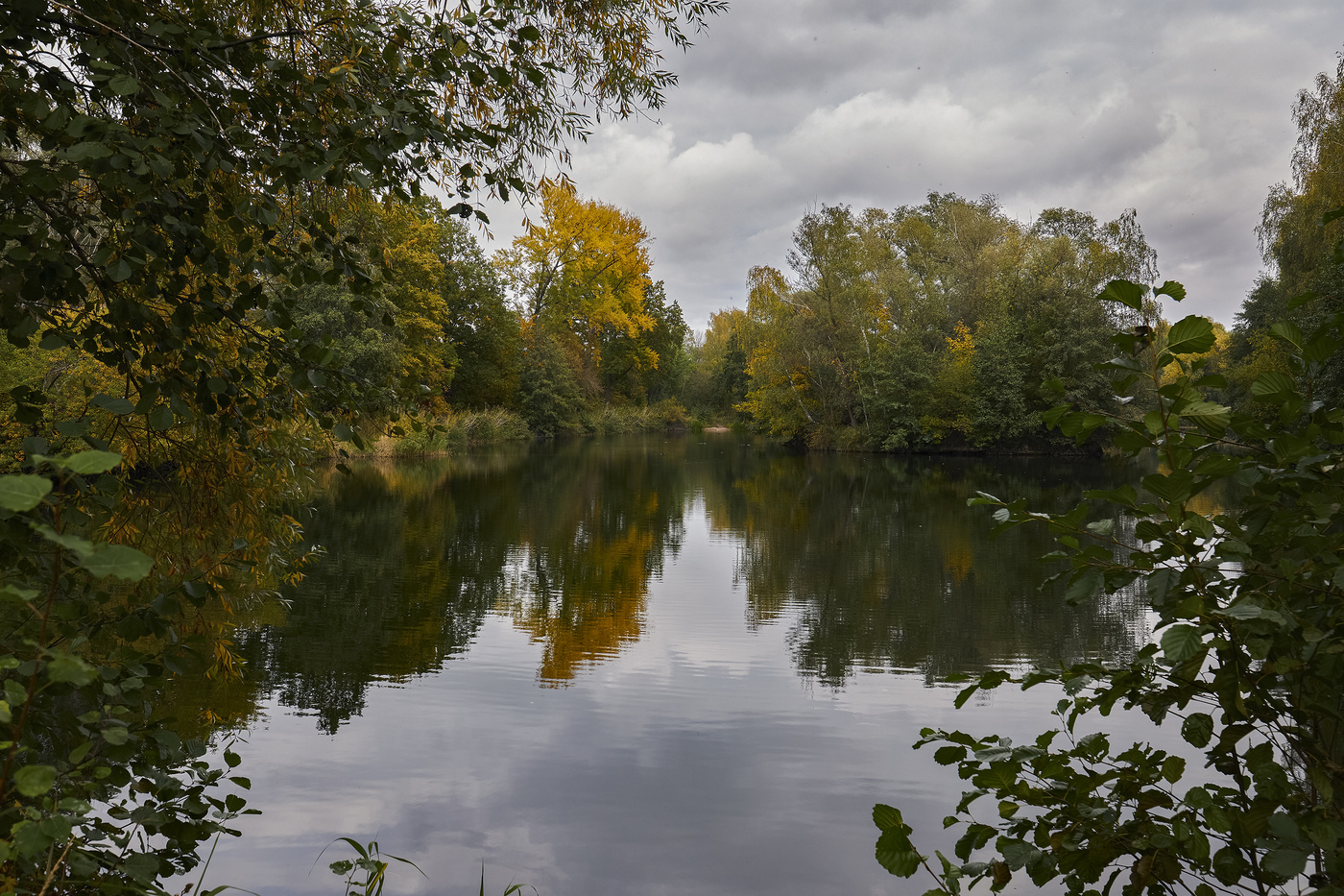 Autumn by the pond
