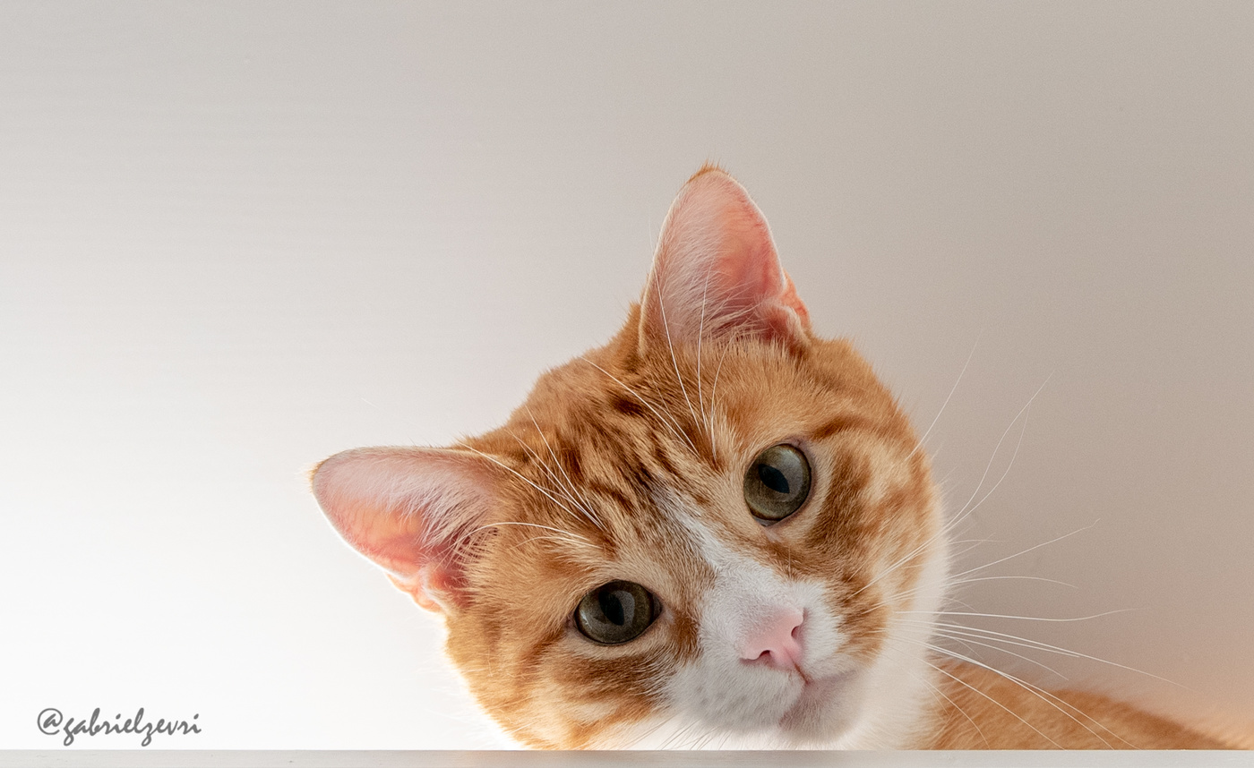 Nephew playing along