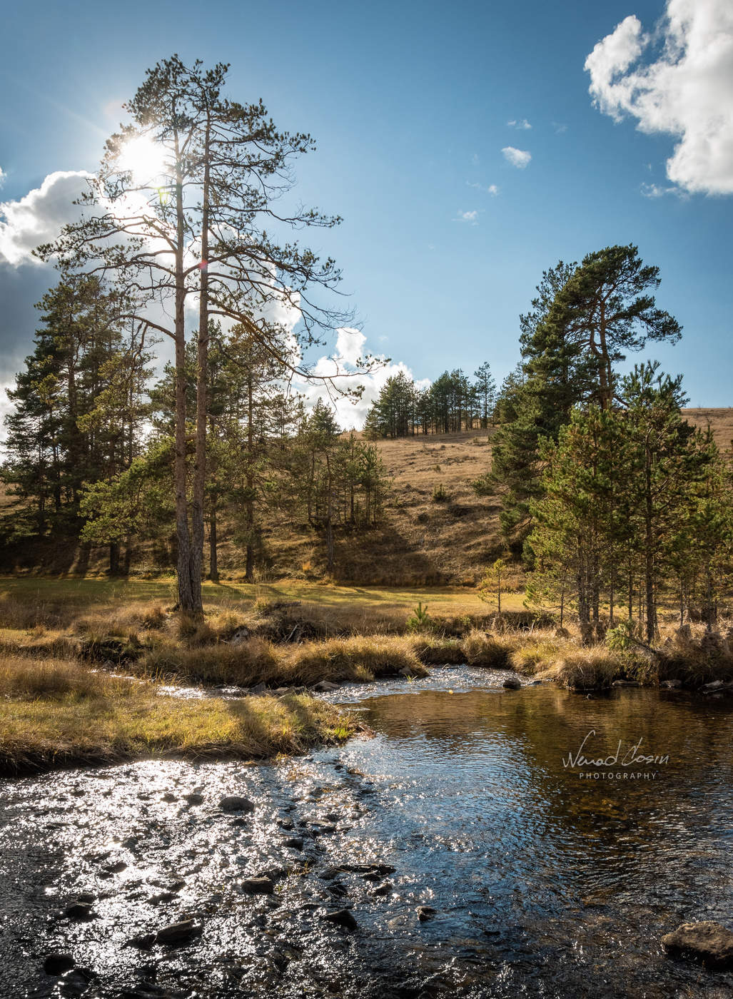 Zlatibor Mountain, Serbia