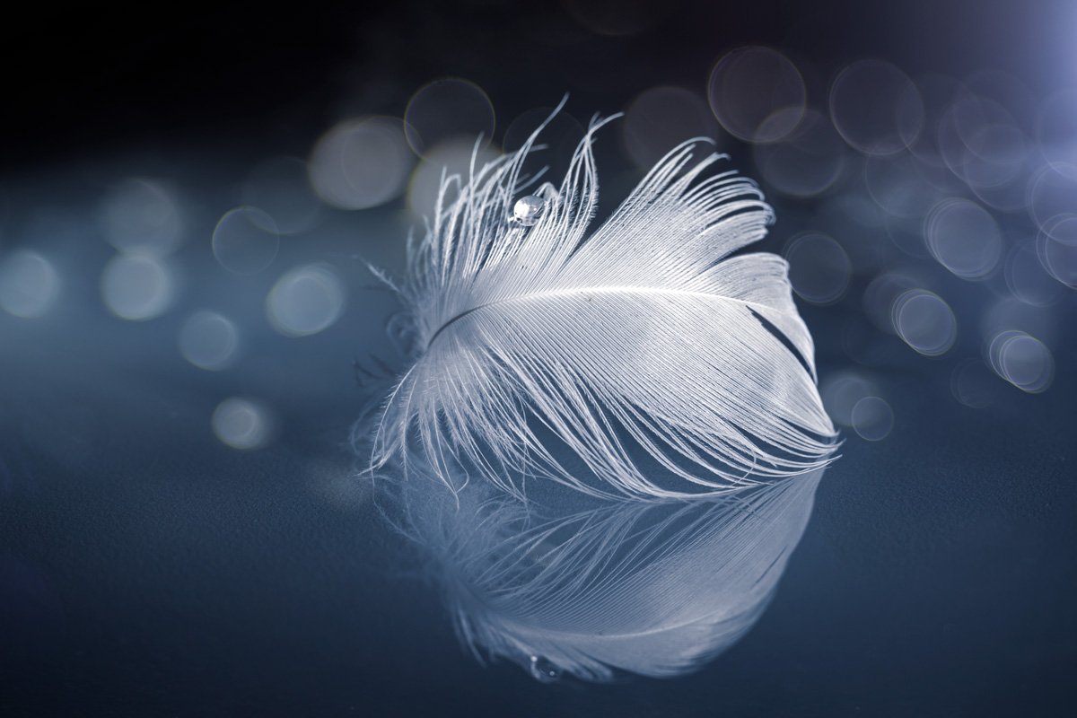 Fantasía de invierno...