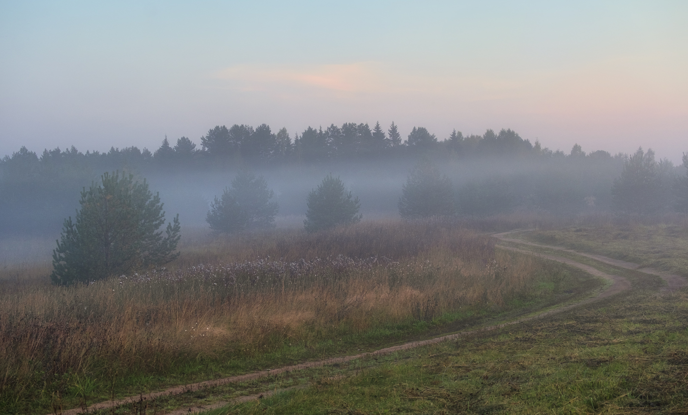 Verschwinden in den Nebel