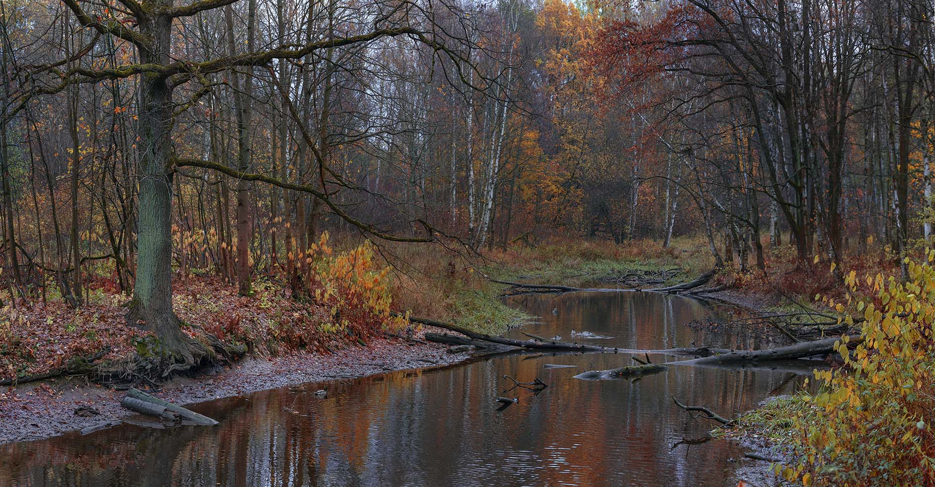 Oktober ist gekommen ...