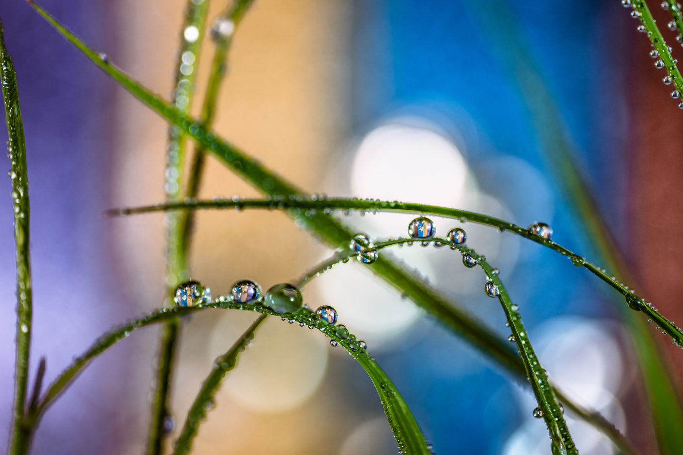 Escaparate de color.